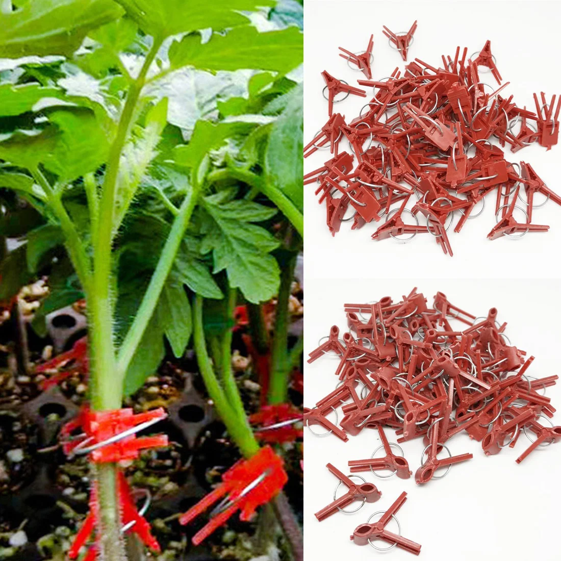 50PCS Plant Grafting Clip Plastic Gardening Tool For Cucumbers Eggplants Watermelon Round Mouth Flat Mouth Anti-Fall Clamp
50PCS Plant Grafting Clip Plastic Gardening Tool For Cucumbers Eggplants Watermelon Round Mouth Flat Mouth Anti-Fall Clamp