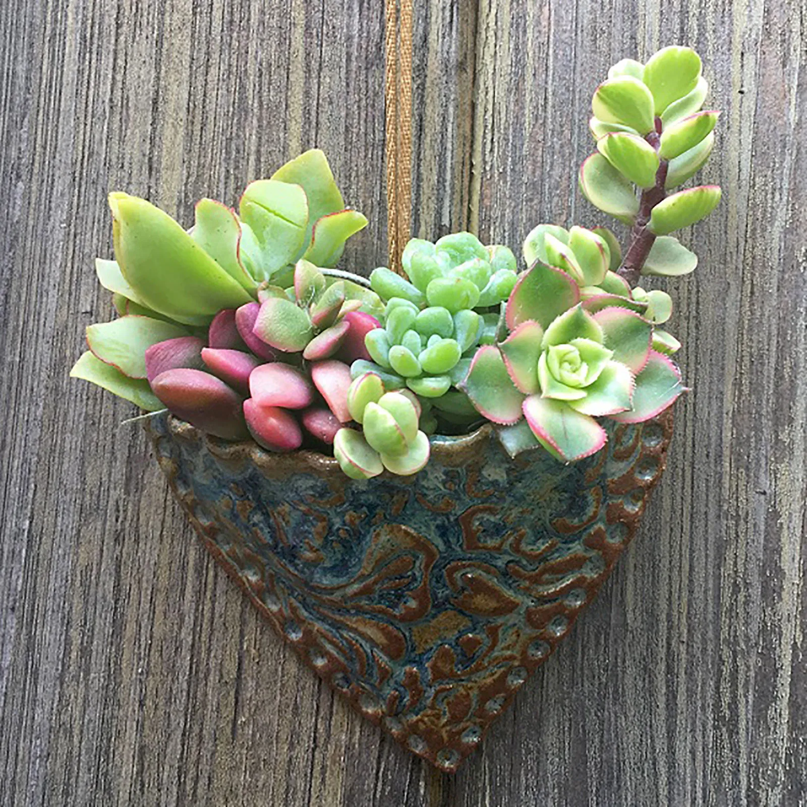 1/4PCS Hanging Succulent Plant Pot Funny Resin Heart Shaped Flower Pot Personalized Micro Landscape Craft Gift Home Office Decor
1/4PCS Hanging Succulent Plant Pot Funny Resin Heart Shaped Flower Pot Personalized Micro Landscape Craft Gift Home Office Decor