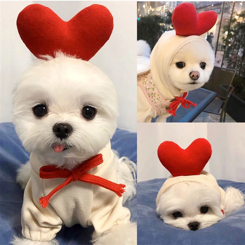 Cute Fruit Dog Clothes For Small Dogs Hoodies Warm Fleece Pet Clothing Puppy Costume Coat For Puppy Small Medium Dogs s
Cute Fruit Dog Clothes For Small Dogs Hoodies Warm Fleece Pet Clothing Puppy Costume Coat For Puppy Small Medium Dogs s