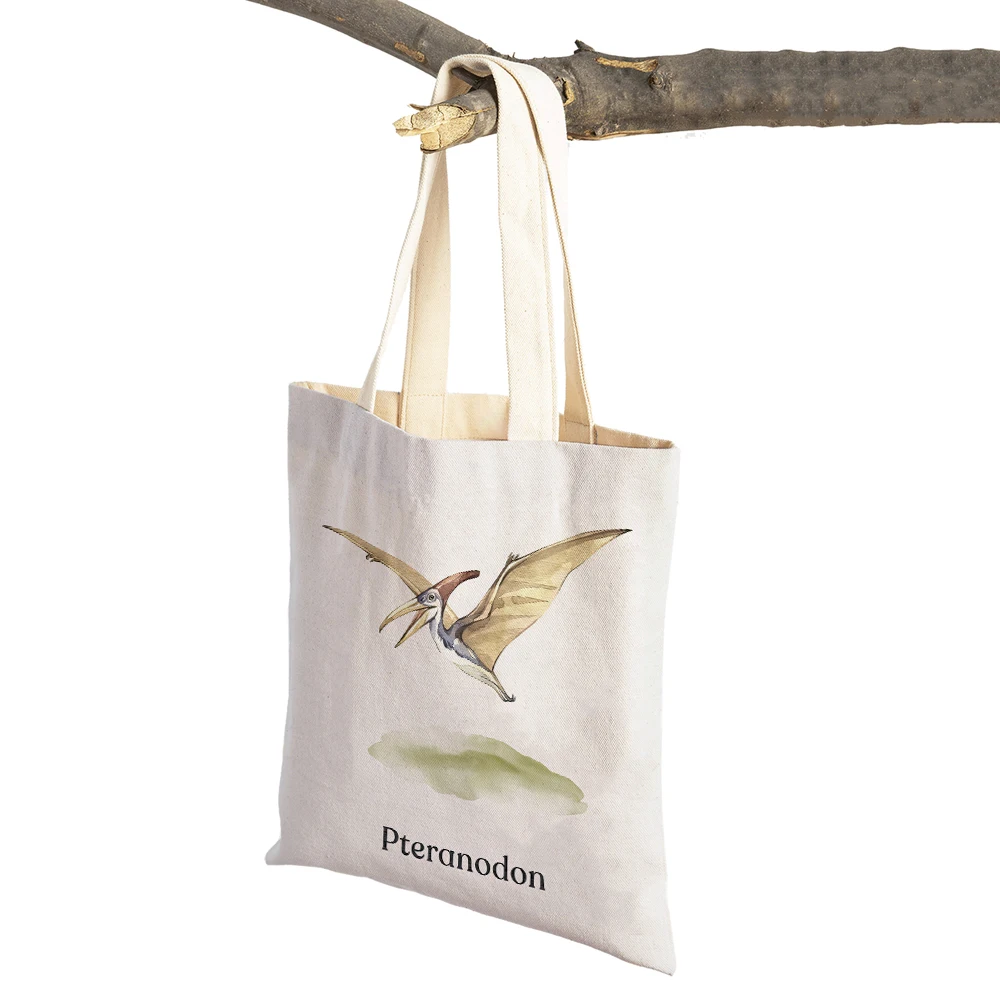 

Cartoon Animal Watercolor Dinosaur Animal Lady Travel Shoulder Tote Handbag Double Print Women Shopping Bags Canvas Shopper Bag