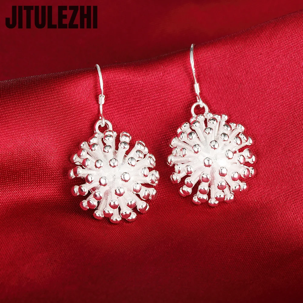 Trendy Wild Party Wedding Jewelry 925 Sterling Silver Beautiful Fireworks Drop Earrings For Women Temperament Christmas Gifts
Trendy Wild Party Wedding Jewelry 925 Sterling Silver Beautiful Fireworks Drop Earrings For Women Temperament Christmas Gifts