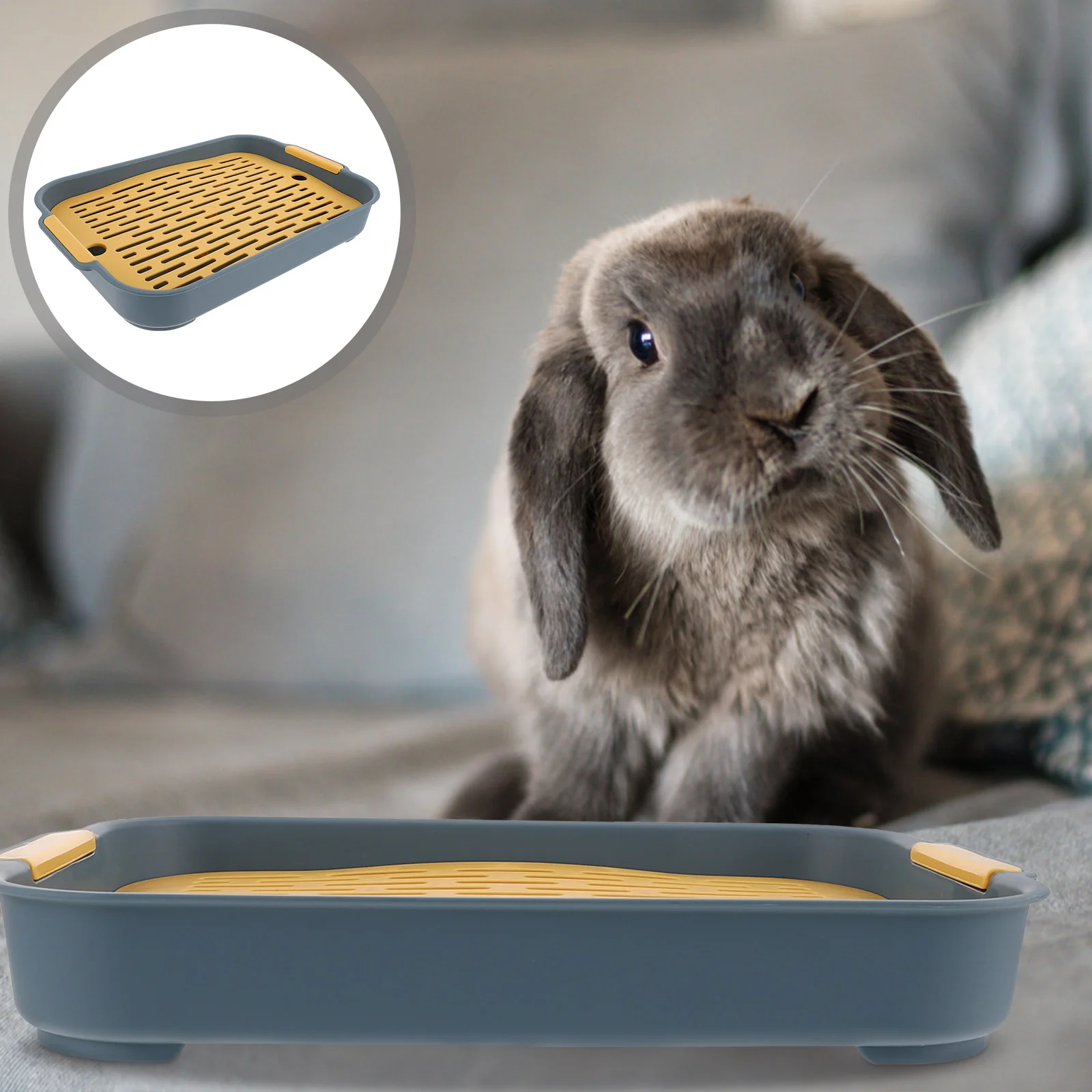 Rabbit Litter Box Rectangular Hamster Toilet Bunny Litter Box Rabbit Training Potty
Rabbit Litter Box Rectangular Hamster Toilet Bunny Litter Box Rabbit Training Potty