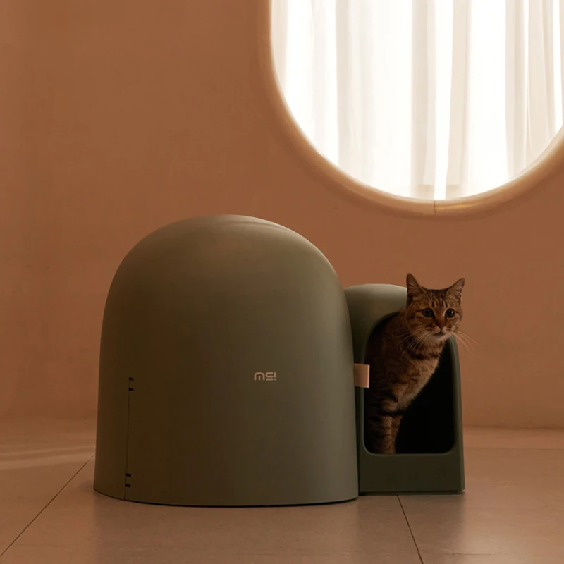 Design Bathroom Cat Bedpans Portable Toilette Cover Urinal Cat Bedpans Toilet Cleaning Areneros Gatos Cerrados Pets Items
Design Bathroom Cat Bedpans Portable Toilette Cover Urinal Cat Bedpans Toilet Cleaning Areneros Gatos Cerrados Pets Items