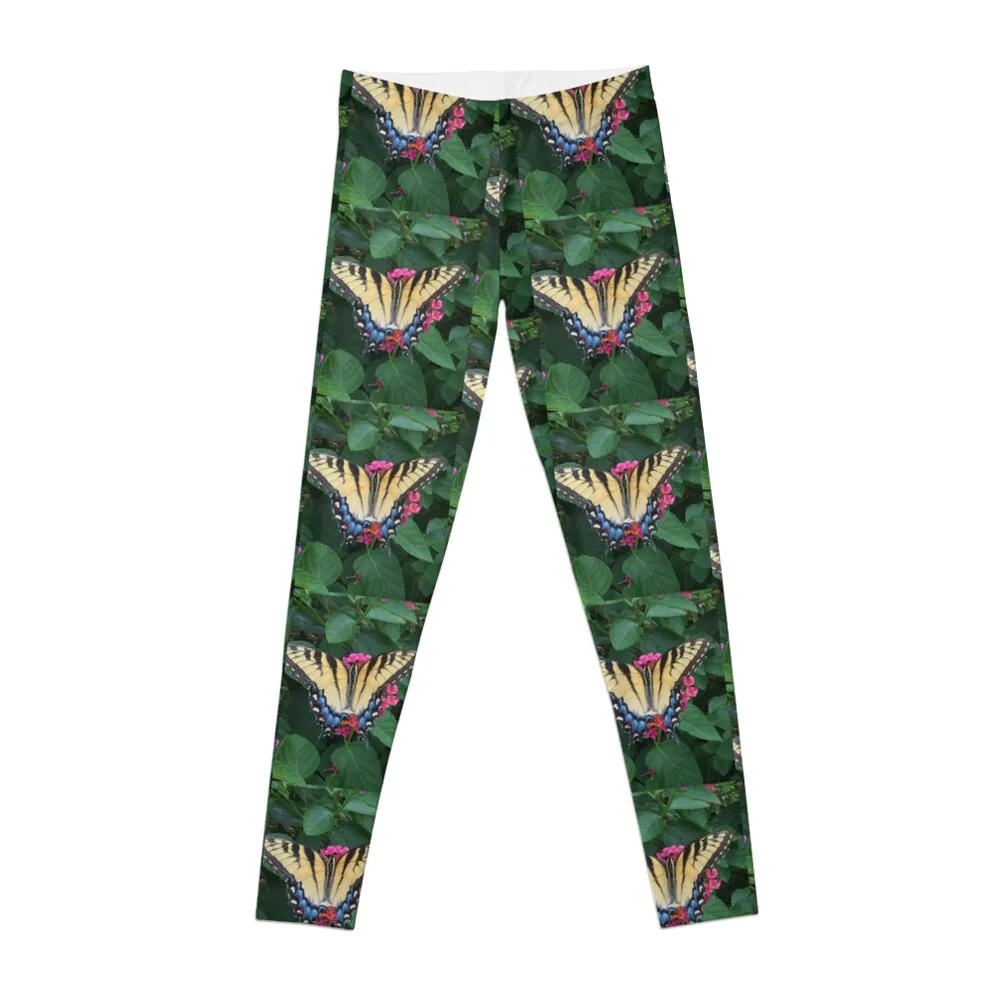 Eastern Tiger Swallowtail (Glaucus) AKA-Tiger Swallowtail Leggings joggers for gym sportswear woman sports for Womens Leggings
Eastern Tiger Swallowtail (Glaucus) AKA-Tiger Swallowtail Leggings joggers for gym sportswear woman sports for Womens Leggings