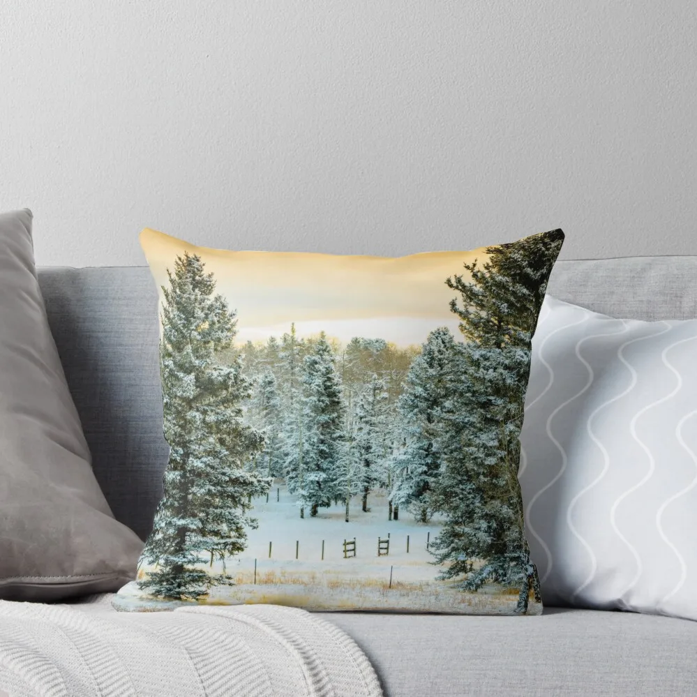 Morning Sunrise Throw Pillow christmas pillowcases Sofa Pillow Cover Couch Pillows
Morning Sunrise Throw Pillow christmas pillowcases Sofa Pillow Cover Couch Pillows