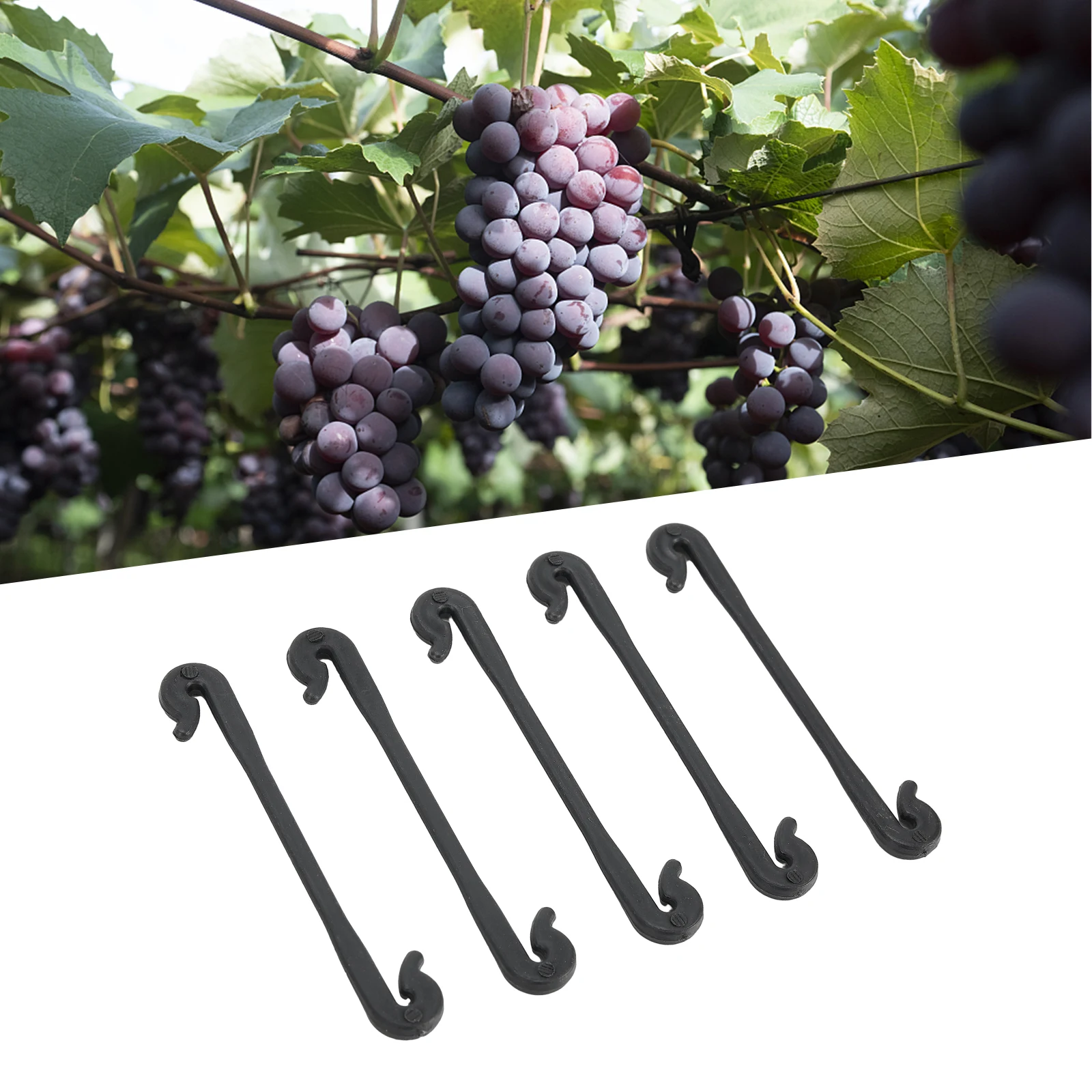 50Pcs U Type Tomato Clip Trellis Garden Vegetable Binder Twine Pot Vine Fixing Buckle Hook Plant Care Supplies
50Pcs U Type Tomato Clip Trellis Garden Vegetable Binder Twine Pot Vine Fixing Buckle Hook Plant Care Supplies