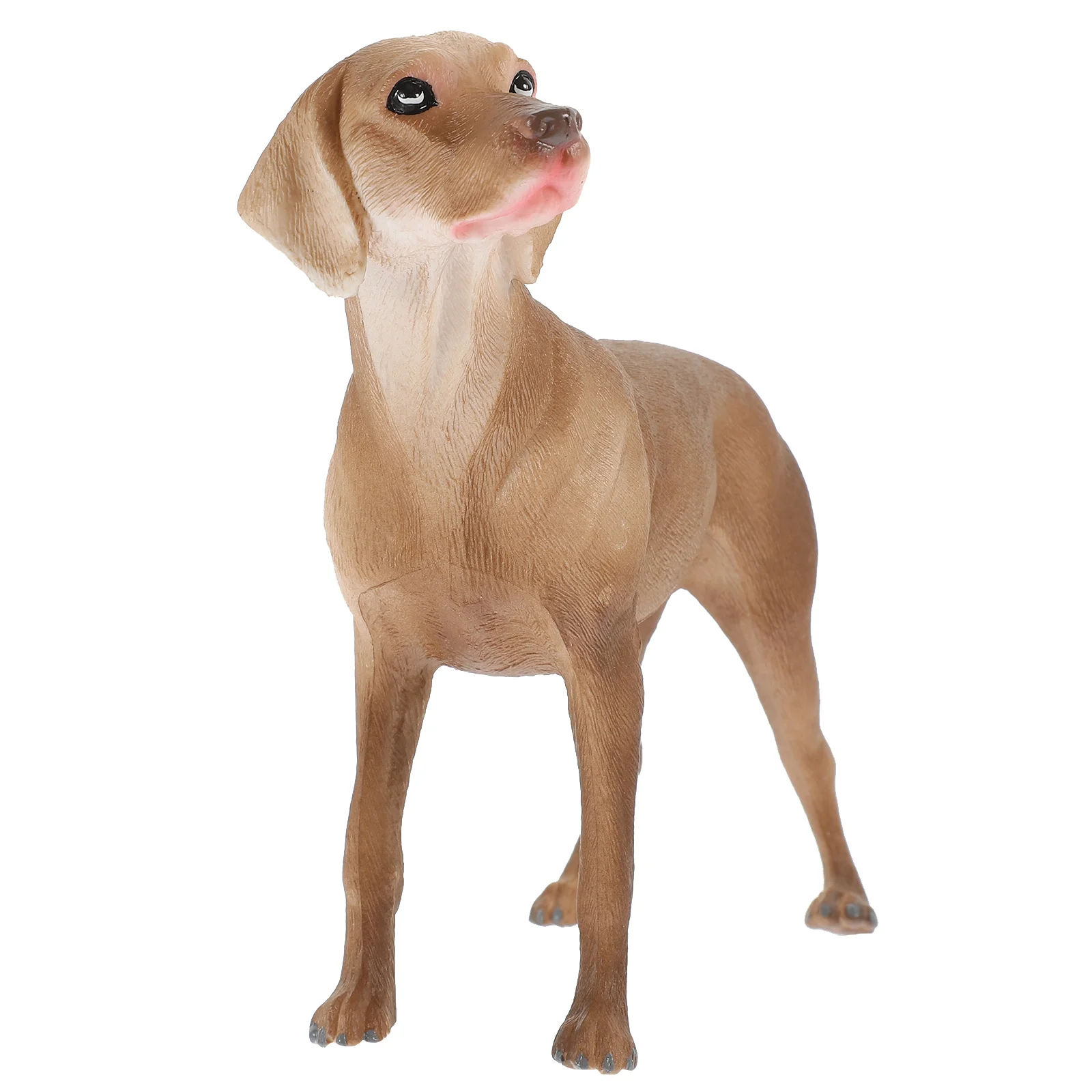 Small Resin Dog Model Artificial Dog Figurine Lifelike Small Dog Statue Tabletop Faux Dog Ornament
Small Resin Dog Model Artificial Dog Figurine Lifelike Small Dog Statue Tabletop Faux Dog Ornament