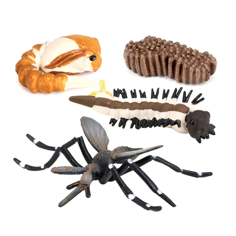 

Моделирование животных цикл роста комаров насекомых цикл роста детей обучающая познавательная игрушка
