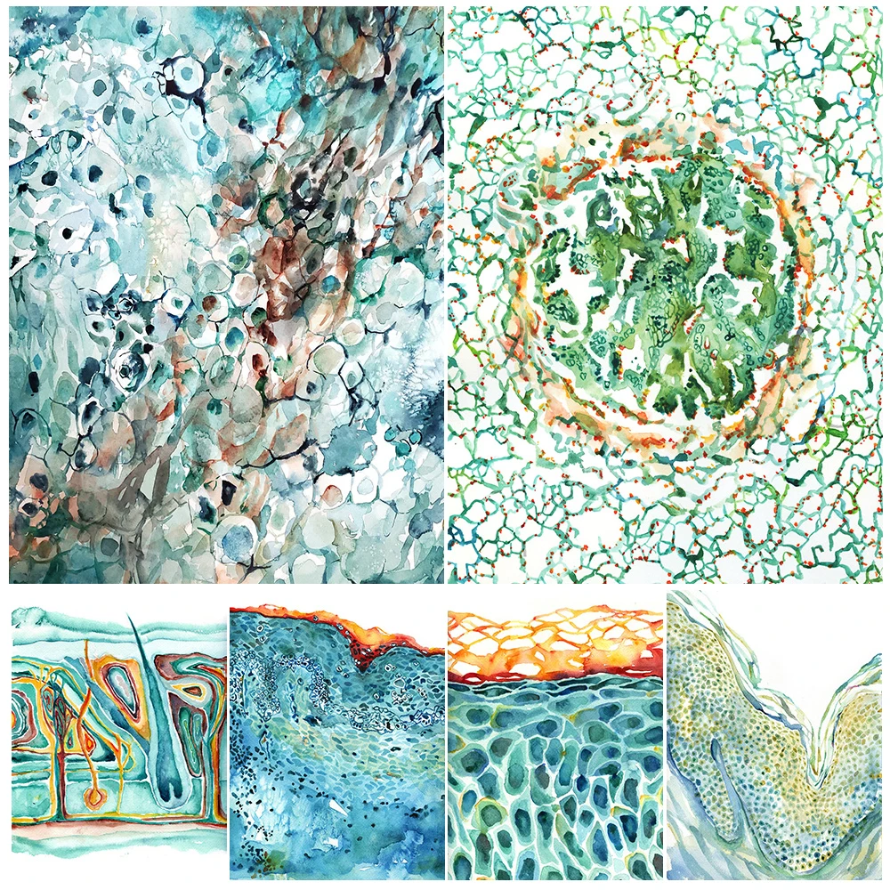 Integumentary System Skin Cell Anatomy Poster Wall Art Canvas Painting Home Decor Wall Pictures For Living Room Unframed
Integumentary System Skin Cell Anatomy Poster Wall Art Canvas Painting Home Decor Wall Pictures For Living Room Unframed
