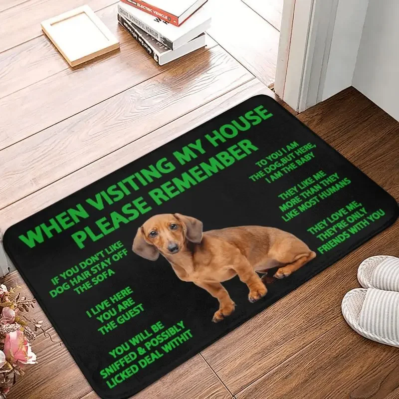 Dachshund Doormat Non-Slip Kitchen Bath Mat Living Room Floor Door Entrance Carpet Rug
Dachshund Doormat Non-Slip Kitchen Bath Mat Living Room Floor Door Entrance Carpet Rug