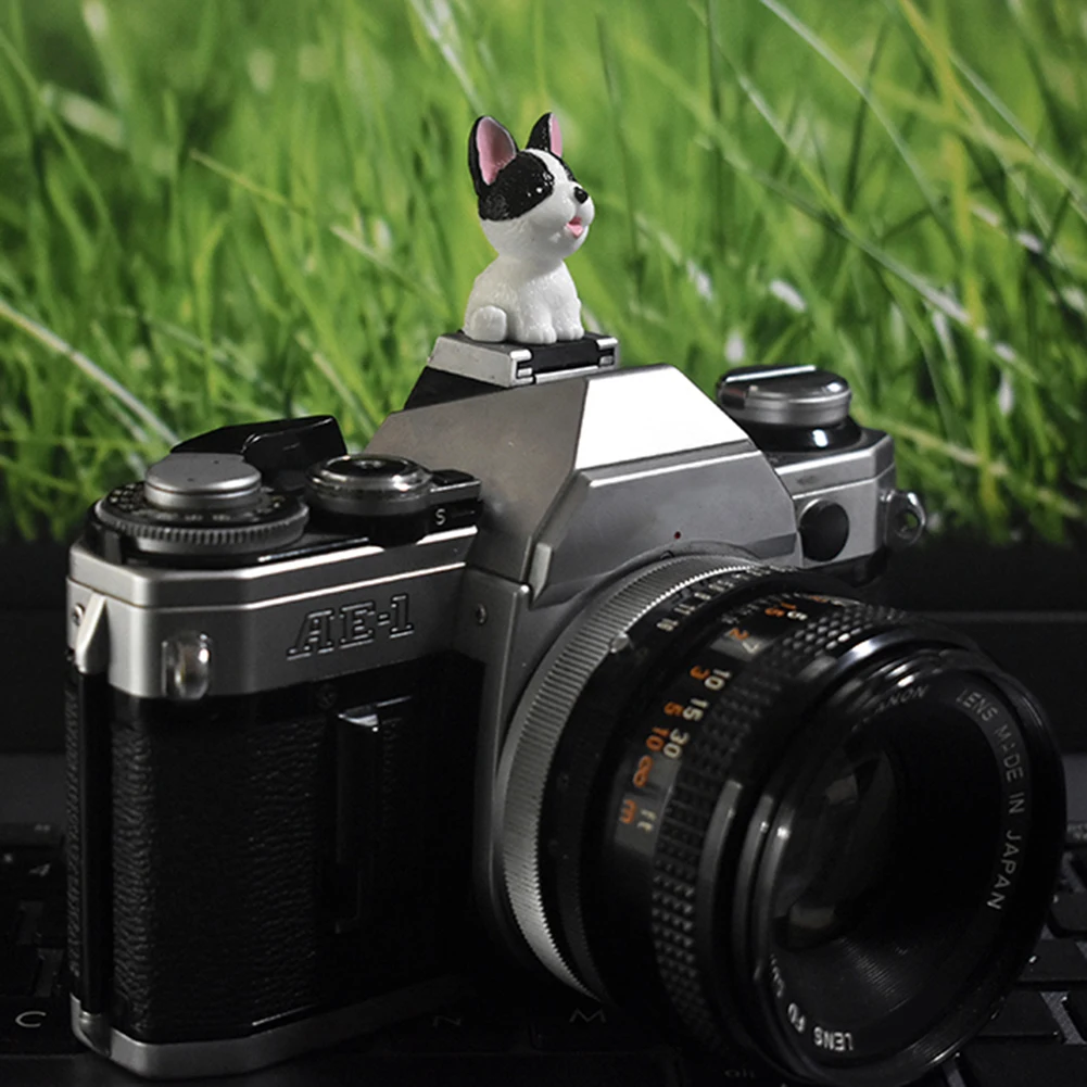 Durable and Stylish Cartoon SLR Camera Hot Shoe Cover Easy to Apply and Remove Essential Accessory for Camera Protection 1PCS
Durable and Stylish Cartoon SLR Camera Hot Shoe Cover Easy to Apply and Remove Essential Accessory for Camera Protection 1PCS