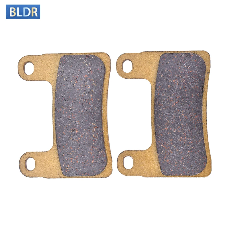 

Front Brake Pads Disc For BMW R1250GS R 1250 GS Rally TE 2019-2020 R1250R R 1250 R R1250RT R 1250 RT SE R1250 RT LE 2019-2021