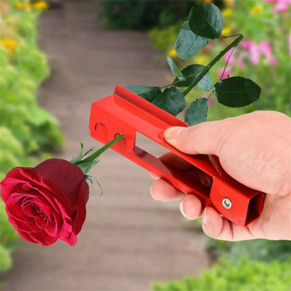 Thorn Leaf Remover Flower Stem Cleaning Tools Gardening For Rose Stem Thorns Flower Bouquet Packaging Garden Tools Iron 14cm
Thorn Leaf Remover Flower Stem Cleaning Tools Gardening For Rose Stem Thorns Flower Bouquet Packaging Garden Tools Iron 14cm