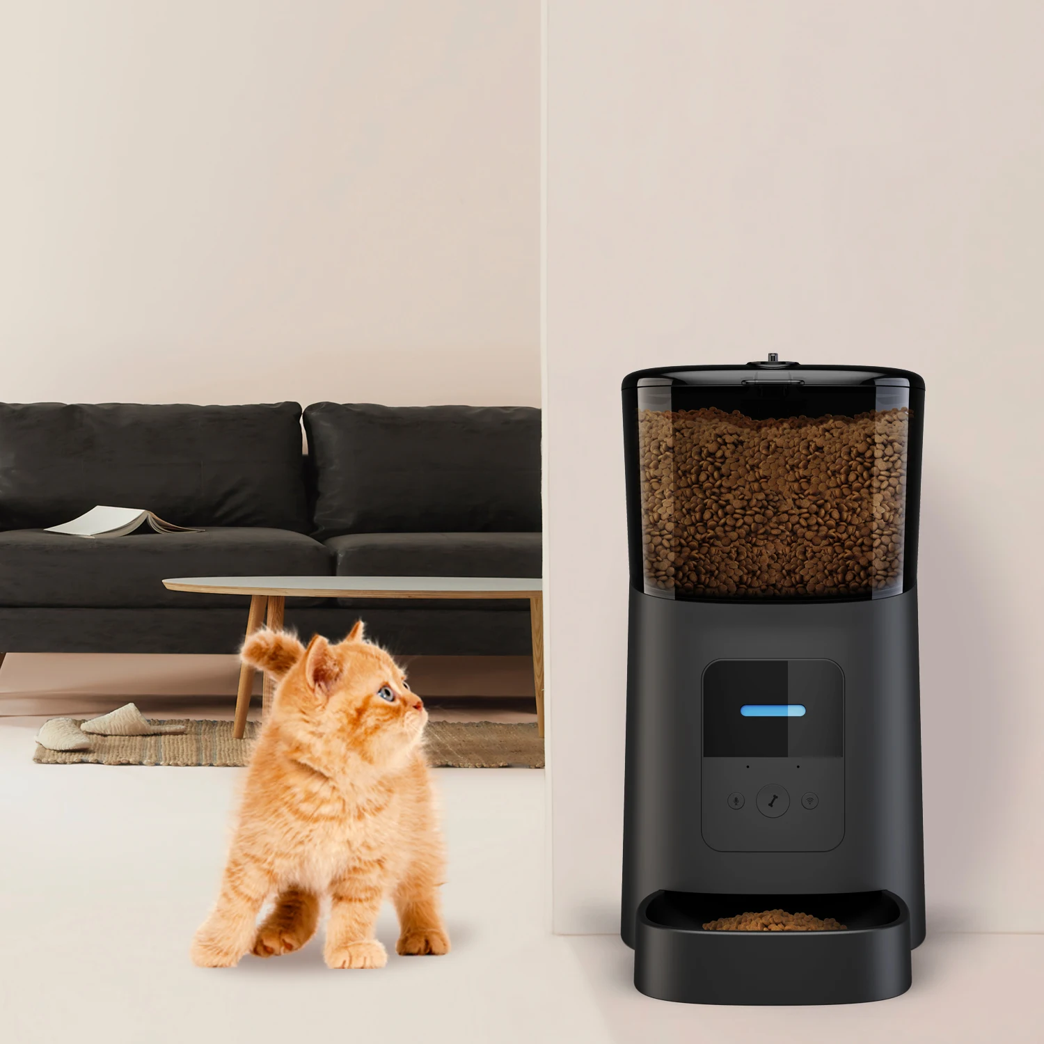 promotional wifi remote camera control 6L dog food feeder smart automatic pet feeder
promotional wifi remote camera control 6L dog food feeder smart automatic pet feeder
