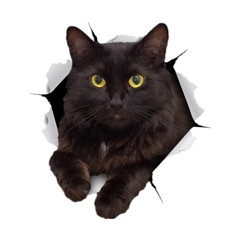 Car Stickers Self Adhesive Flower Rest Black Cat Car Sticker Motorcycle Car Decoration Waterproof Sunscreen PVC 15CM
Car Stickers Self Adhesive Flower Rest Black Cat Car Sticker Motorcycle Car Decoration Waterproof Sunscreen PVC 15CM