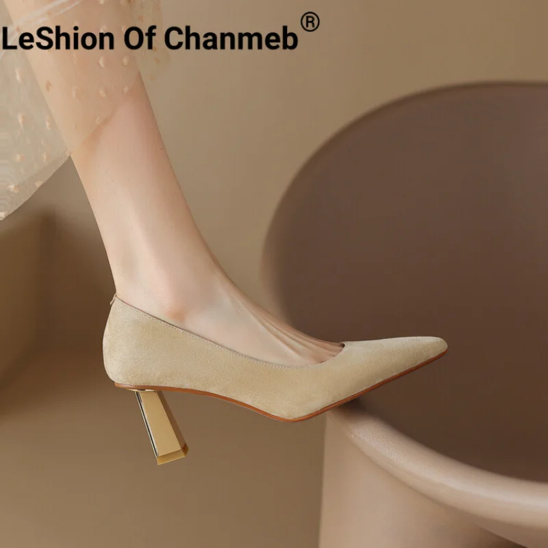 LeShion Of Chanmeb Women Kid Sheep Suede Pumps Thin High Heel Pointed Toe Slip On Single Footwear Female Daily Office Simple New
LeShion Of Chanmeb Women Kid Sheep Suede Pumps Thin High Heel Pointed Toe Slip On Single Footwear Female Daily Office Simple New