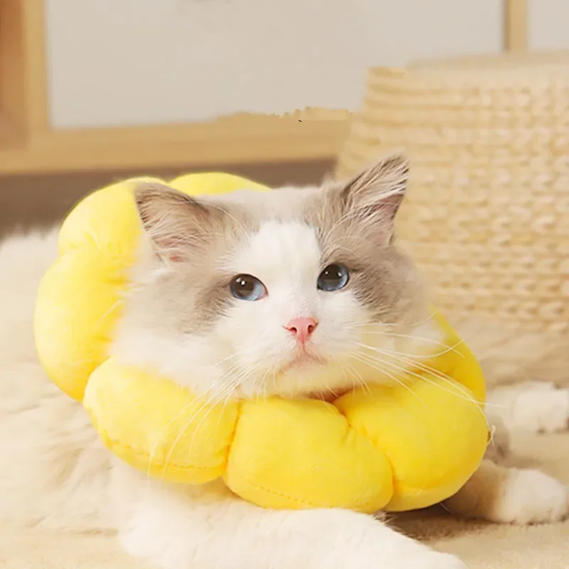 Sunflower Elizabeth Adjustable Circle Cat Anti Lick and Anti Bite Collar Kitten Accessories Puppy Neck Shame Ring Pet Supplies
Sunflower Elizabeth Adjustable Circle Cat Anti Lick and Anti Bite Collar Kitten Accessories Puppy Neck Shame Ring Pet Supplies