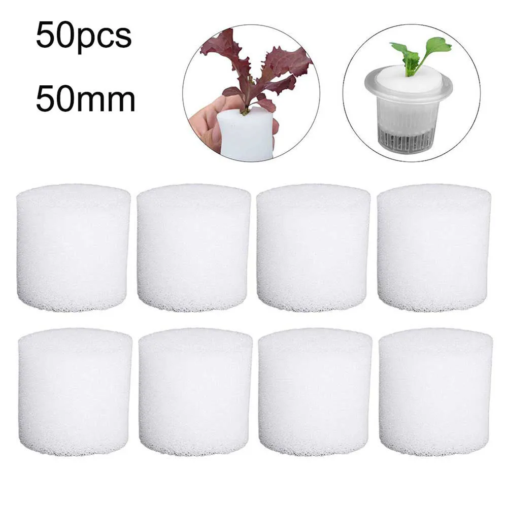 50 PCS Sponge Block Soilless Hydroponics Sponge Cultivation Tray Flowerpot Gardening Tool For Hydroponics Plant Sprouting Agent
50 PCS Sponge Block Soilless Hydroponics Sponge Cultivation Tray Flowerpot Gardening Tool For Hydroponics Plant Sprouting Agent