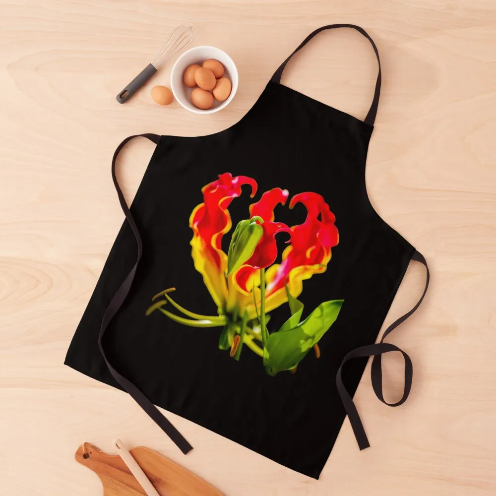 Gloriosa superba - flowers Apron Restaurant Kitchen Equipment Hairdressing Hairdresser Accessories Kids Women's Kitchen Apron
Gloriosa superba - flowers Apron Restaurant Kitchen Equipment Hairdressing Hairdresser Accessories Kids Women's Kitchen Apron