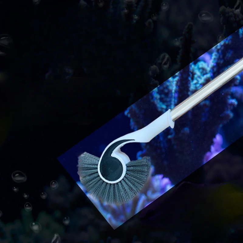 Инструменты для очистки внутренняя стенка щетка для аквариума длинный стержень стекло без мертвых углов инструмент
Инструменты для очистки внутренняя стенка щетка для аквариума длинный стержень стекло без мертвых углов инструмент