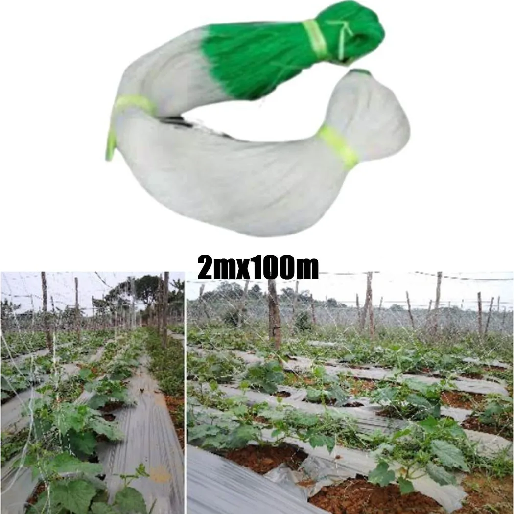 2M*100M Cucumber Net Garden Plants Climbing Support Net Morning Glory Flower Vine Climbing Holder Trellis Netting Accessories
2M*100M Cucumber Net Garden Plants Climbing Support Net Morning Glory Flower Vine Climbing Holder Trellis Netting Accessories