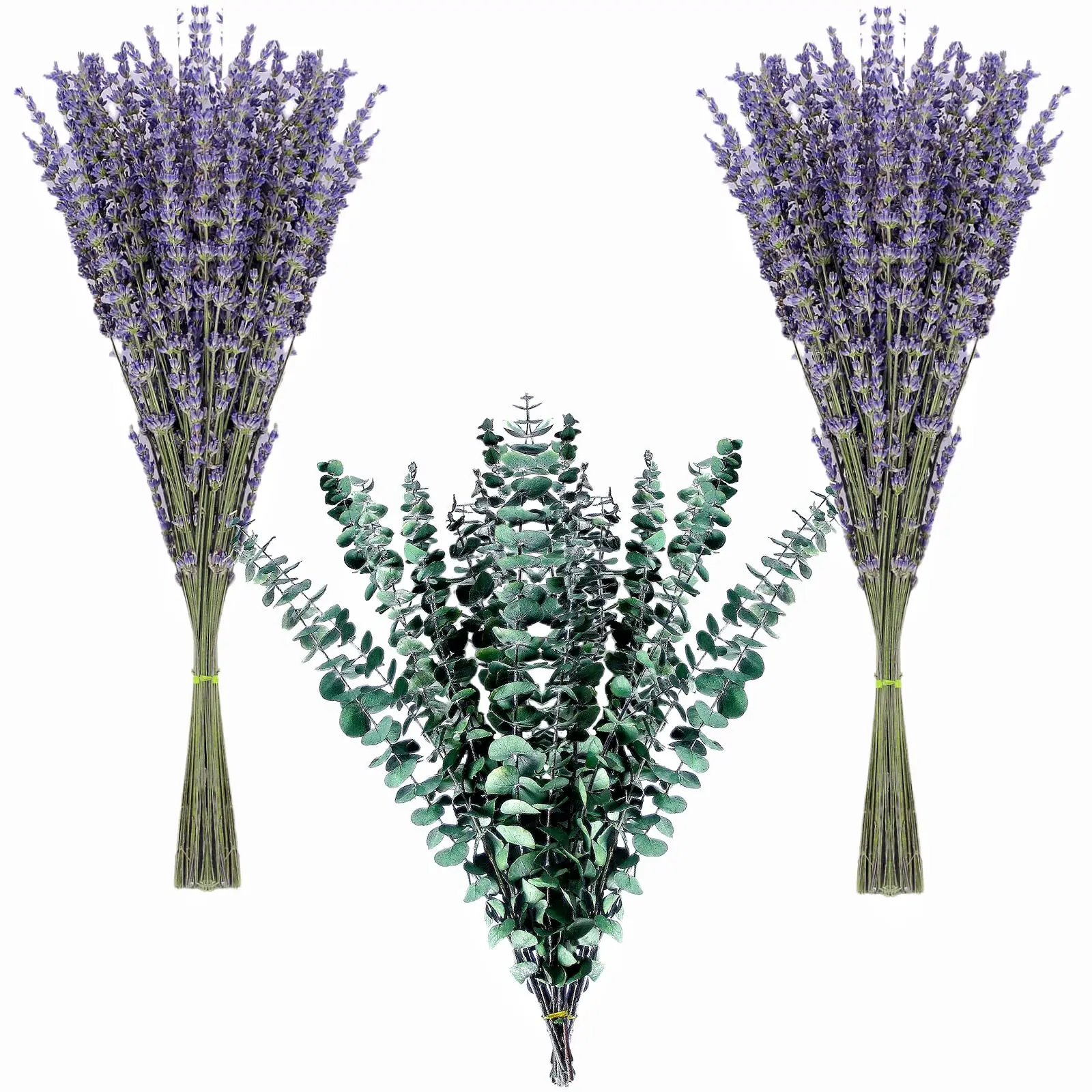 

130 Stems Dried Lavender Flowers and Shower Eucalyptus Hanging Bouquet,Eucalyptus Leaves Home Bathroom,Living Room Kitchen Decor