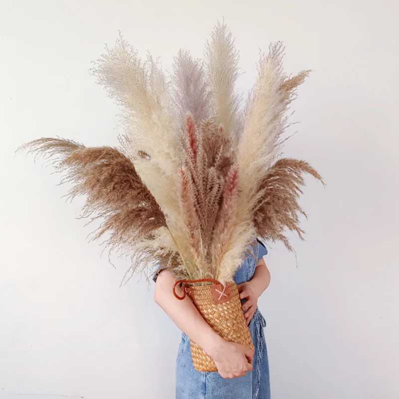 1-1.2m Large Pampas Grass Big Size Reed Wedding Decoration Christmas Dekoration Home Accessories Dried Flowers
1-1.2m Large Pampas Grass Big Size Reed Wedding Decoration Christmas Dekoration Home Accessories Dried Flowers