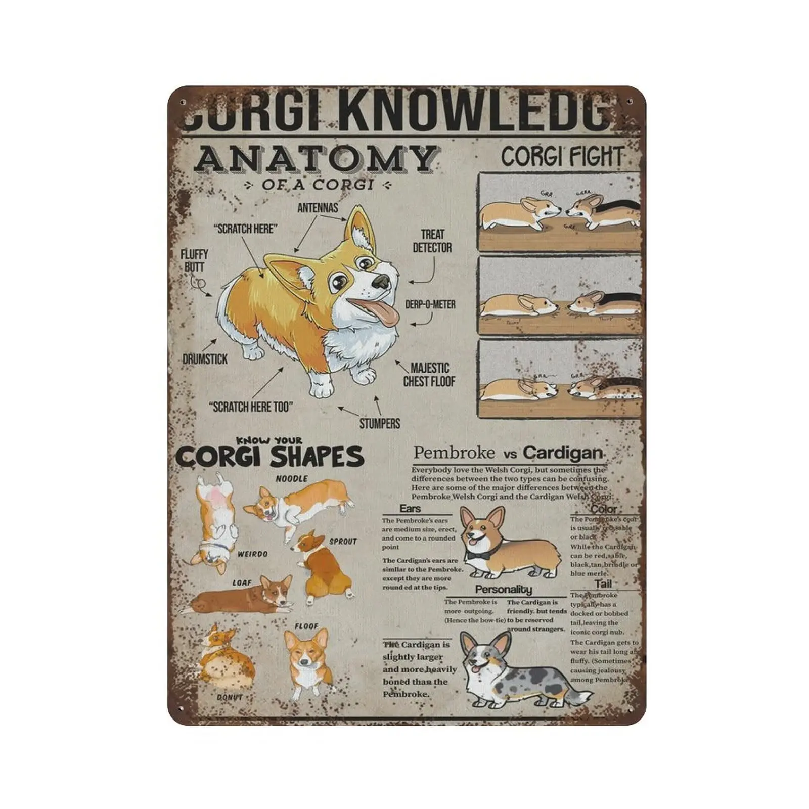 

Antique Durable Thick Metal Sign,Corgi Knowledge Tin Sign,Vintage Wall Decor，Novelty Signs for Home Kitchen Cafe Bar Man Cave，Si
