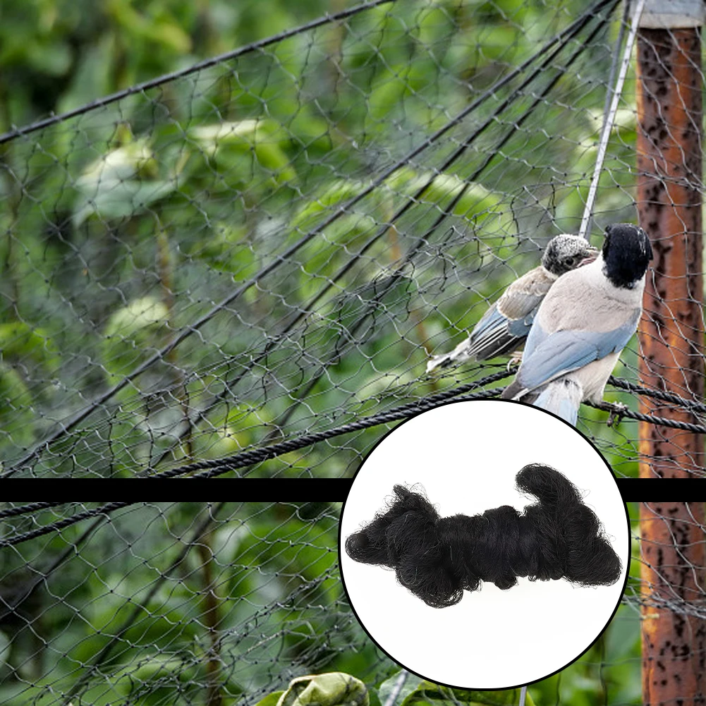 Brand new Convenient Durable High quality Anti Bird Net Fruit Garden Net Netting PE Pond Protection 10x6m Tools
Brand new Convenient Durable High quality Anti Bird Net Fruit Garden Net Netting PE Pond Protection 10x6m Tools