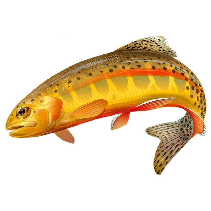Rice Trout Rainbow Trout Camo Trout Decals Fridge Fishing Toolbox Stickers Motorcycle Trunk Helmet Ratio Laptop Luggage Stickers
Rice Trout Rainbow Trout Camo Trout Decals Fridge Fishing Toolbox Stickers Motorcycle Trunk Helmet Ratio Laptop Luggage Stickers