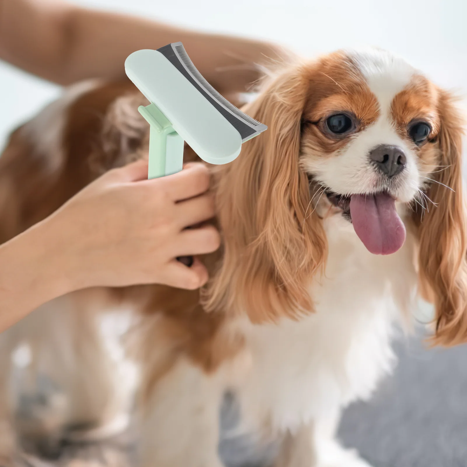 The Dog Pet Comb Combs Rake for Shedding Ematting Deshedding Brush Plastic Brushes Grooming Small Dogs 
The Dog Pet Comb Combs Rake for Shedding Ematting Deshedding Brush Plastic Brushes Grooming Small Dogs