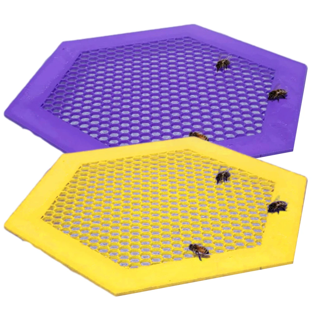 Acrylic Beekeeping Setups Garden Floating Design Attractive Bee Island Waterer Butterfly Water Station Catcher Cups
Acrylic Beekeeping Setups Garden Floating Design Attractive Bee Island Waterer Butterfly Water Station Catcher Cups