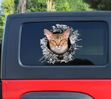 Abyssinian cat window sticker, Abyssinian cat window decal, cat window sticker
Abyssinian cat window sticker, Abyssinian cat window decal, cat window sticker