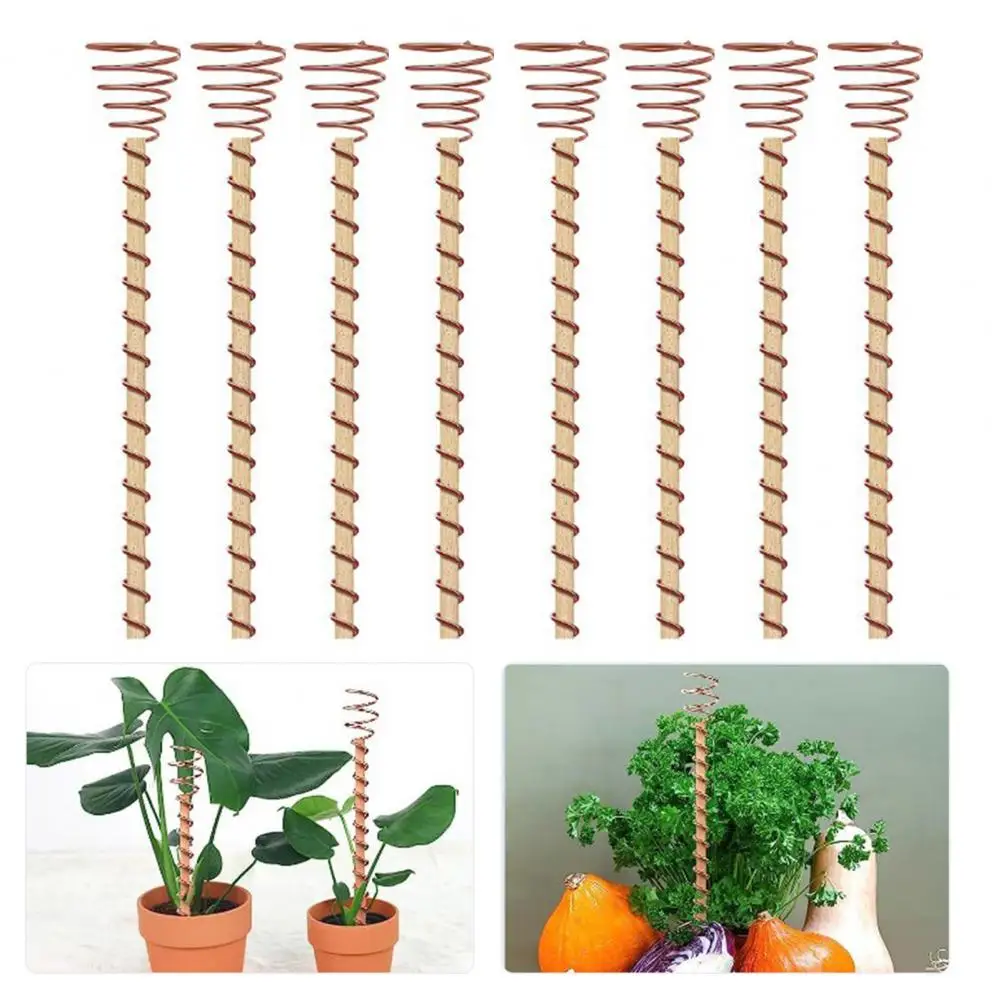 Plant Support Rack Multifunctional Plant Stake 12-inch Garden Stakes for Indoor Plants Easy to Install for Healthy
Plant Support Rack Multifunctional Plant Stake 12-inch Garden Stakes for Indoor Plants Easy to Install for Healthy