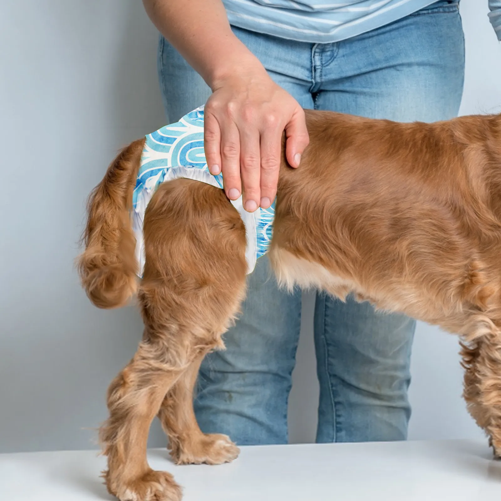 Моющиеся женские подгузники для собак многоразовые подгузники для собак с регулируемыми защелками высокопоглощающие герметичные подгузники для щенков 강용용지 지 New
Моющиеся женские подгузники для собак многоразовые подгузники для собак с регулируемыми защелками высокопоглощающие герметичные подгузники для щенков 강용용지 지 New