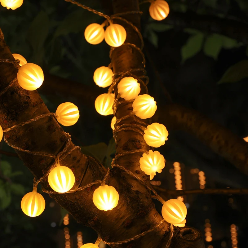 3M 20LEDs New Magic Ball Fairy Light String Battery Operated Festoon Garland for Christmas Outdoor Garden Wedding Decoration
3M 20LEDs New Magic Ball Fairy Light String Battery Operated Festoon Garland for Christmas Outdoor Garden Wedding Decoration