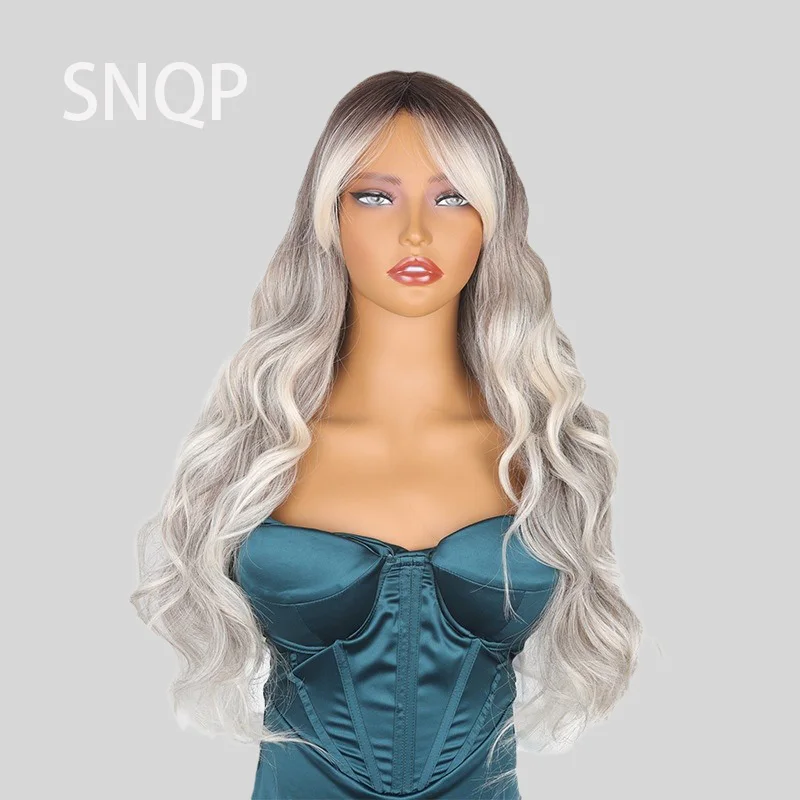

SNQP 24inch Long Curly Silver Gray Wig New Stylish Hair Wig for Women Daily Cosplay Party Heat Resistant High Temperature Fiber