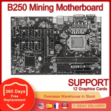 B250 Mining – carte mère PCIe X1, PCI-E X16, LGA 1151=