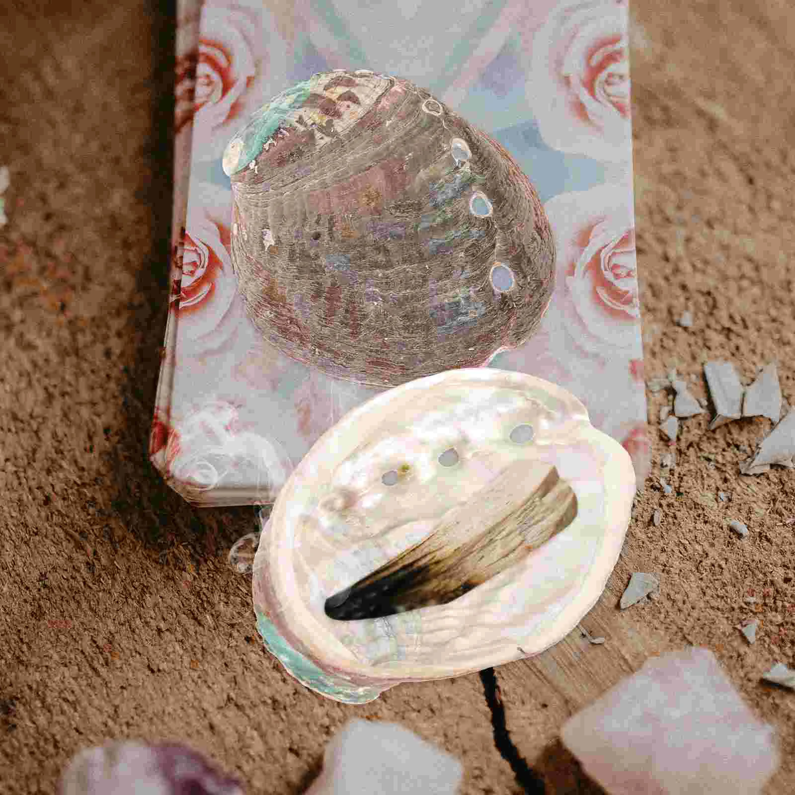 

3 Pcs Natural Shell Abalone Decorative Ornaments Smudge Kit for Smudging Bowl Stick Holder Suite