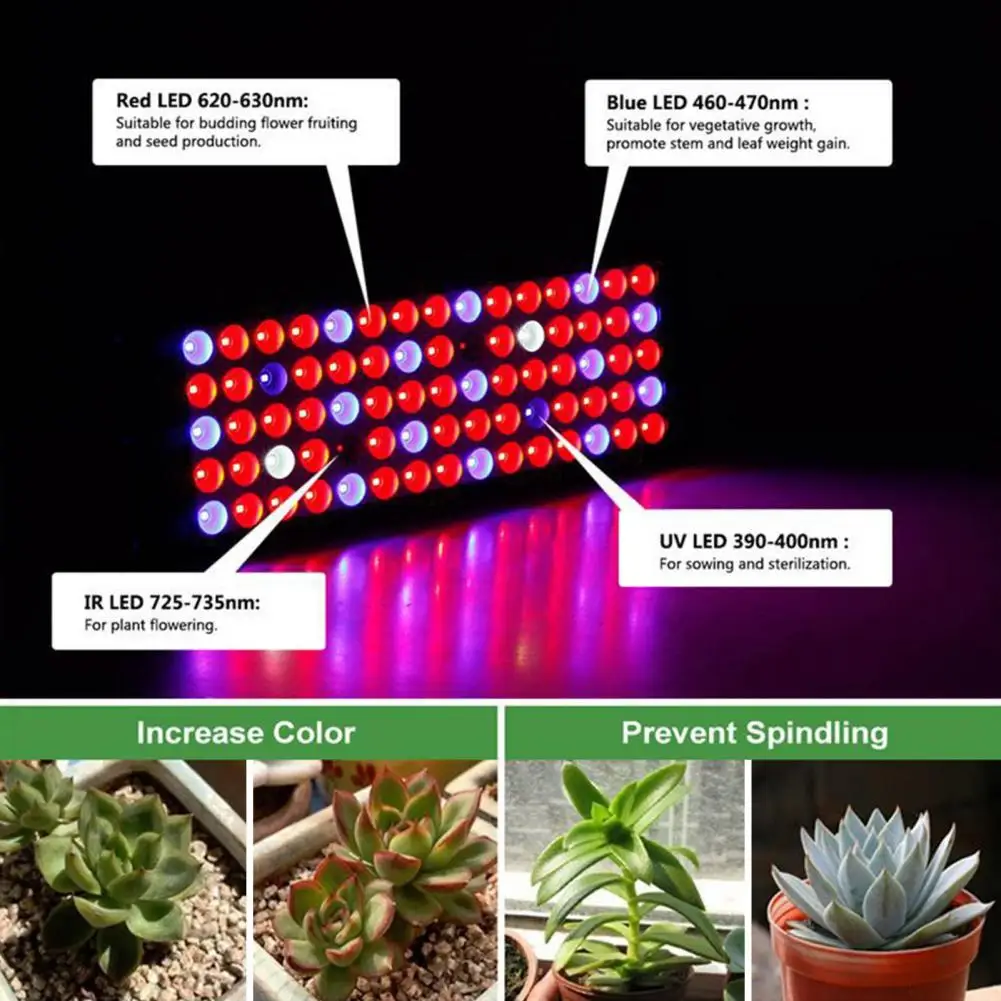 Ultra-thin Panel Grow Light High Power 100w Plug-play Led Grow Light for Efficient Heat Dissipation Full Spectrum for Plant
Ultra-thin Panel Grow Light High Power 100w Plug-play Led Grow Light for Efficient Heat Dissipation Full Spectrum for Plant