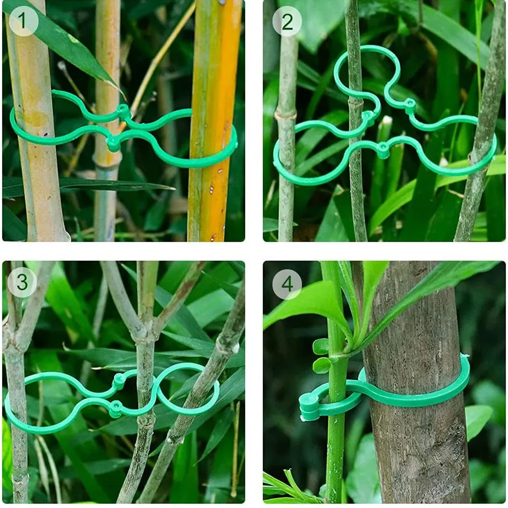 30pcs Garden Ring Tie Clips Plant Support Ties Flower Supports Green Plastic Fixing Buckle For Vegetables Climbing Plants
30pcs Garden Ring Tie Clips Plant Support Ties Flower Supports Green Plastic Fixing Buckle For Vegetables Climbing Plants