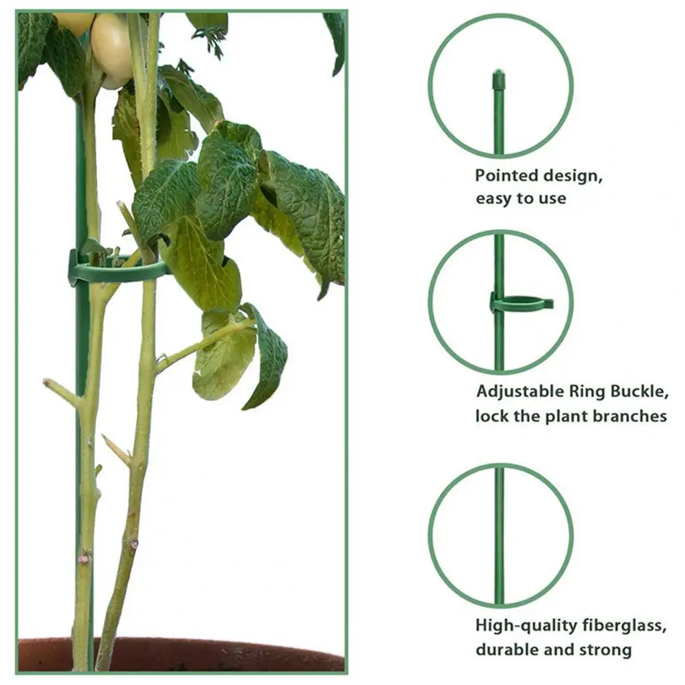 6Pcs/12pcs Household Growing Vegetables Green Plant Support Sticks Plant Support Stakes Reusable Gardening Tool
6Pcs/12pcs Household Growing Vegetables Green Plant Support Sticks Plant Support Stakes Reusable Gardening Tool