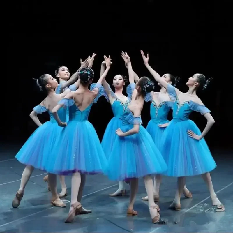 

Long Romantic Ballet Tutu Blue Ballet Dress Performance Clothes Swan Lake Ballerine Femme Children Girls Fairy Ballet Costume