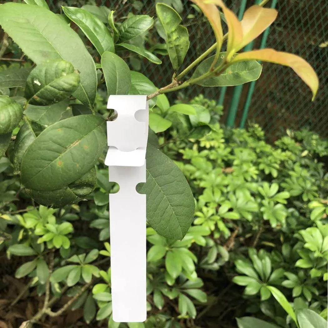 New Part Tool Plant Tags Outdoor Plant Set Labels Marker Tags Tree Useful Waterproof 100pcs Accessories Hanging
New Part Tool Plant Tags Outdoor Plant Set Labels Marker Tags Tree Useful Waterproof 100pcs Accessories Hanging