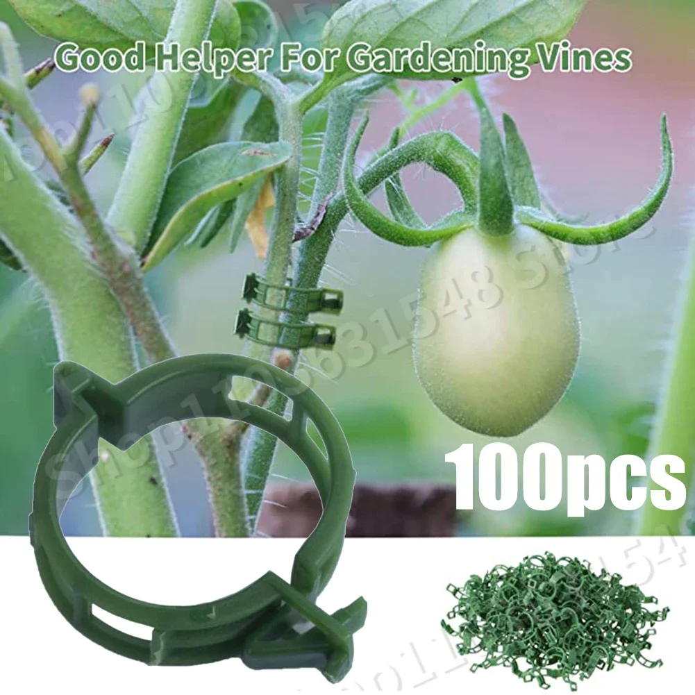 100pcs Plant Support Clips,Tomato Clips,Plastic Garden Clips,Plant Ties,Trellis Clips,for Tomato Cucumber Flower Squash Vine
100pcs Plant Support Clips,Tomato Clips,Plastic Garden Clips,Plant Ties,Trellis Clips,for Tomato Cucumber Flower Squash Vine