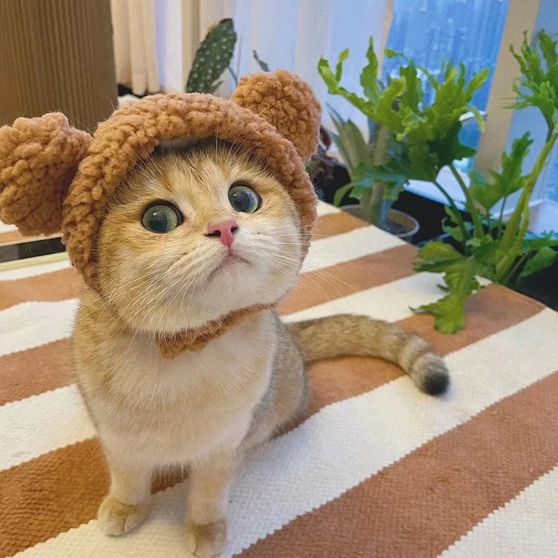 S6ad387067f144d7a807b542f7ba9443dP