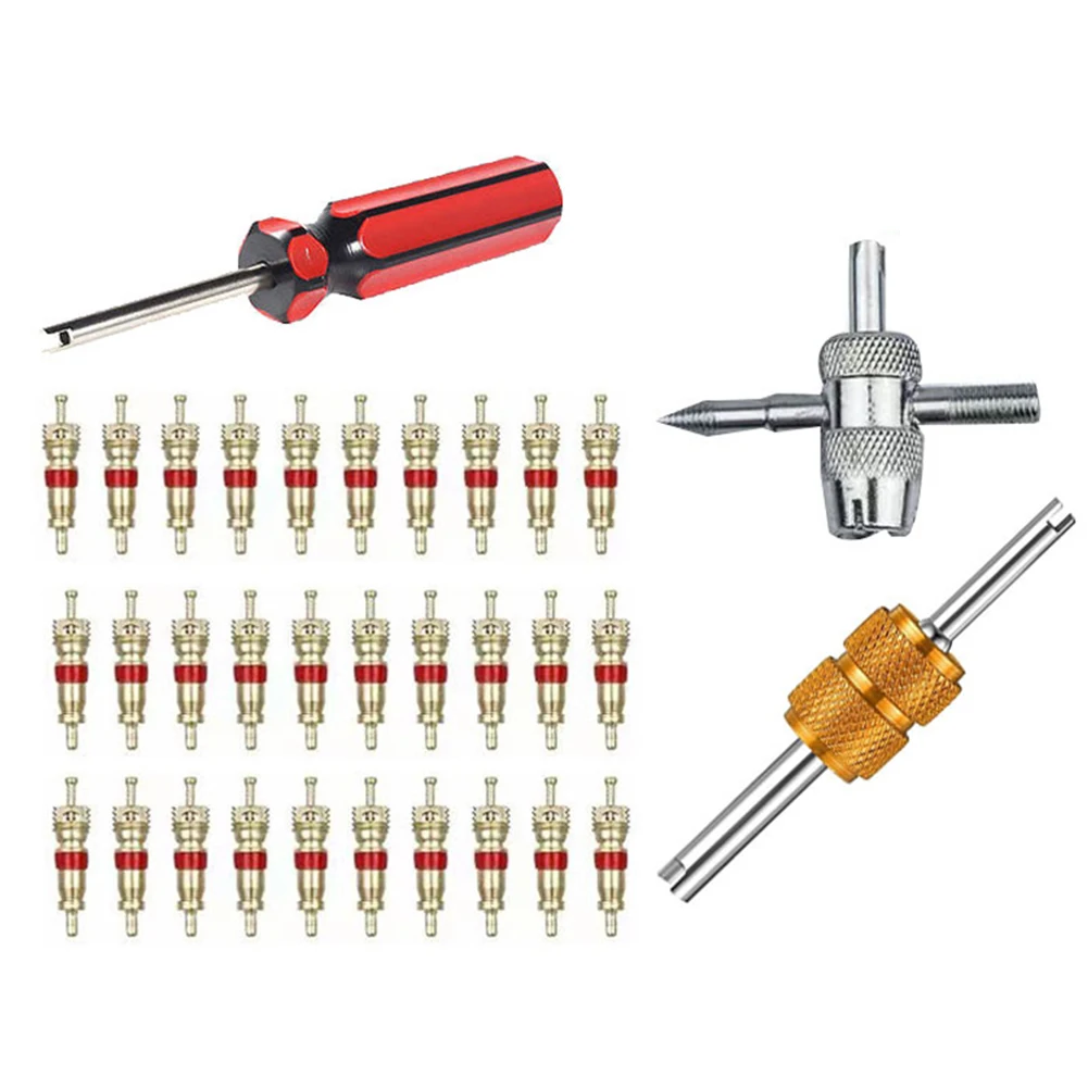33Pcs Car Bicycle Motorcycle Tire Valve Stem Core Remover Screwdriver Repair Tool Quick Removal Mounting Tire Inserts
33Pcs Car Bicycle Motorcycle Tire Valve Stem Core Remover Screwdriver Repair Tool Quick Removal Mounting Tire Inserts