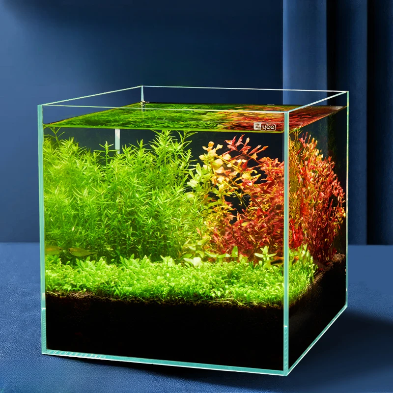 Living Room Turtle Aquariums Fish Tank Bowl Glass Small Desktop Aquariums Fish Tank Vivarium Landscaping Acuarios Product QF50YG
Living Room Turtle Aquariums Fish Tank Bowl Glass Small Desktop Aquariums Fish Tank Vivarium Landscaping Acuarios Product QF50YG