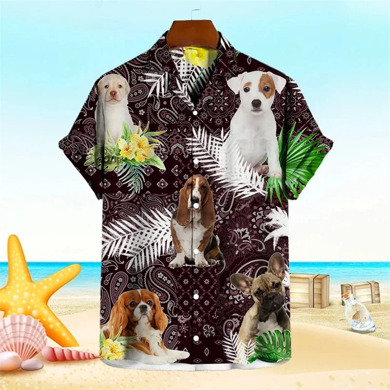 New Animal Hamster 3D Print Shirts For Men Clothes Hawaiian Funny Pet Graphic Boy Blouses Streetwear Y2k Male Short Sleeve Tops
New Animal Hamster 3D Print Shirts For Men Clothes Hawaiian Funny Pet Graphic Boy Blouses Streetwear Y2k Male Short Sleeve Tops