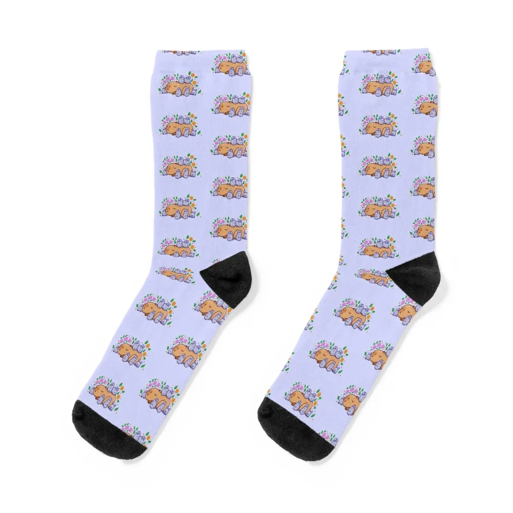 Capybara with bunnies Socks new in's socks Golf socks Stockings man Woman Socks Men's
Capybara with bunnies Socks new in's socks Golf socks Stockings man Woman Socks Men's